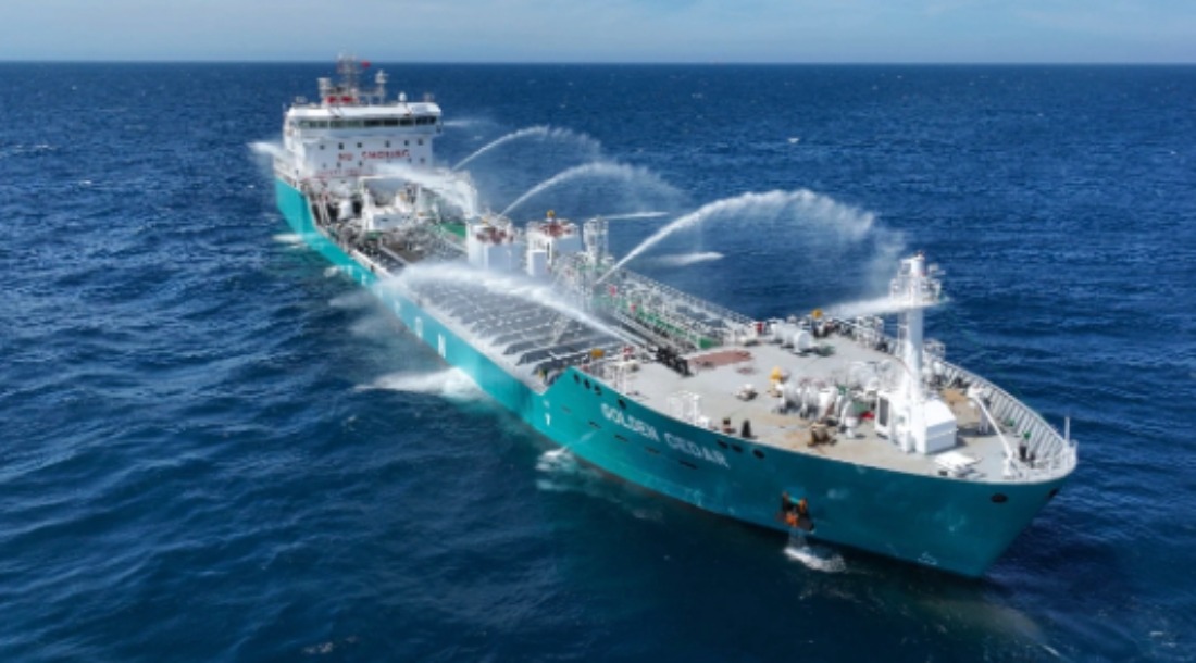 Seacon Shipping shifts focus from expansion to value creation as strategy resets