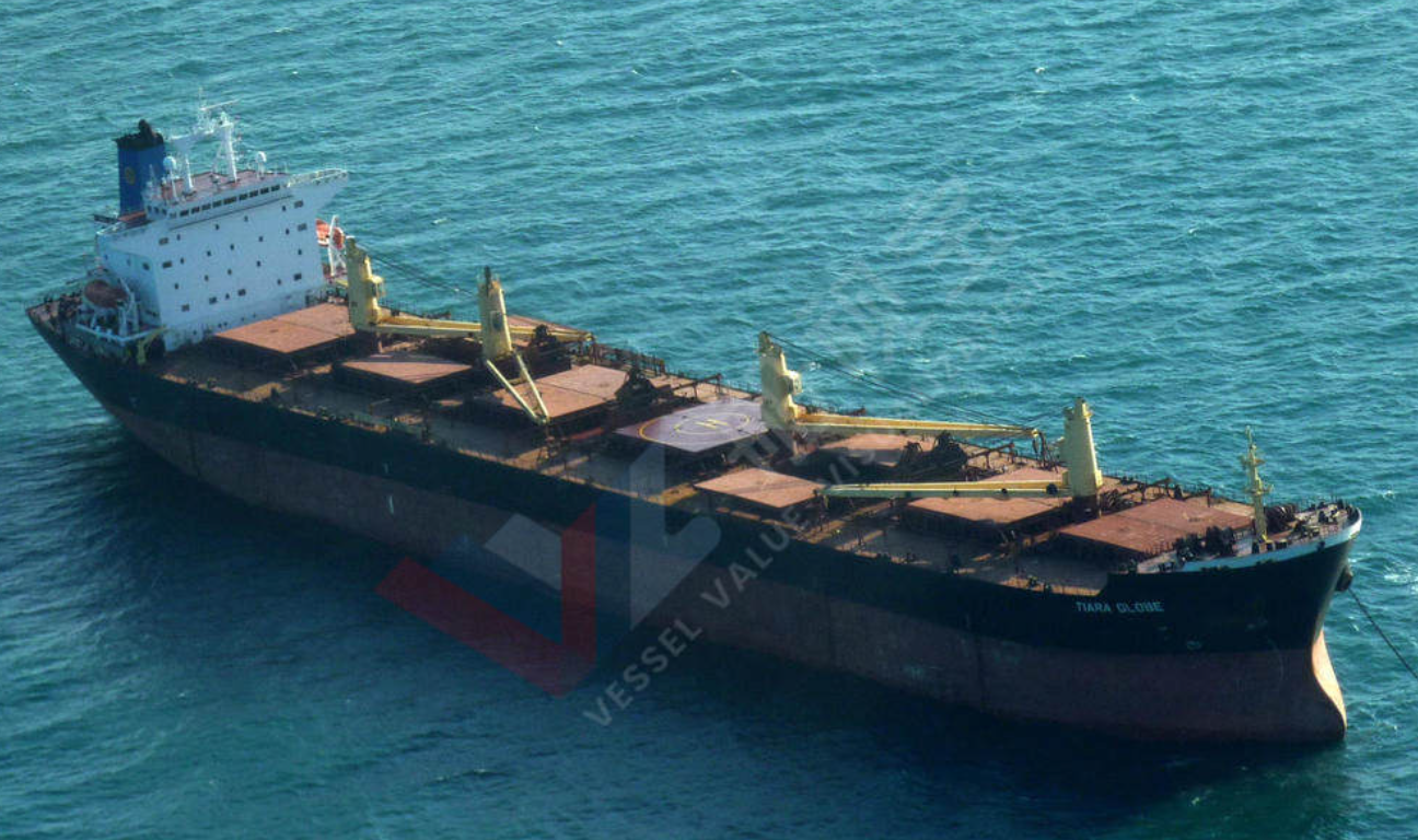 Panama-Flagged Bulker Sinks in Bay of Bengal; 2 of 24 Crew Rescued, 20 Chinese Nationals Missing