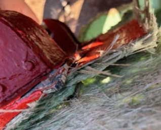 Aging Fiberglass Lifeboats After 23-Year-Old Vessel Total Loss
