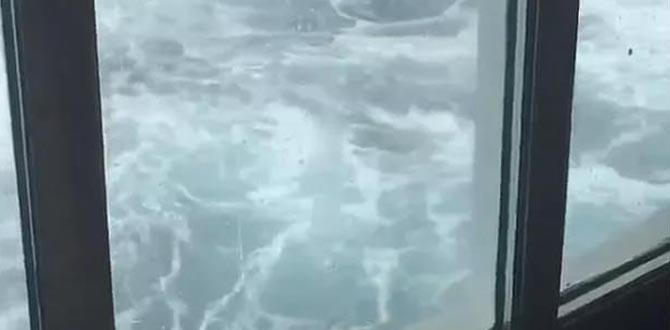 豪华游轮遇炸弹气旋　豪华邮轮遭遇风暴