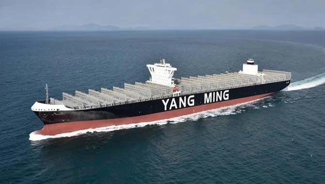 阳明海运：将扩大自有船队比例！