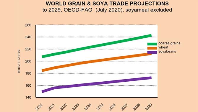 谷物和大豆市场长期走势向好