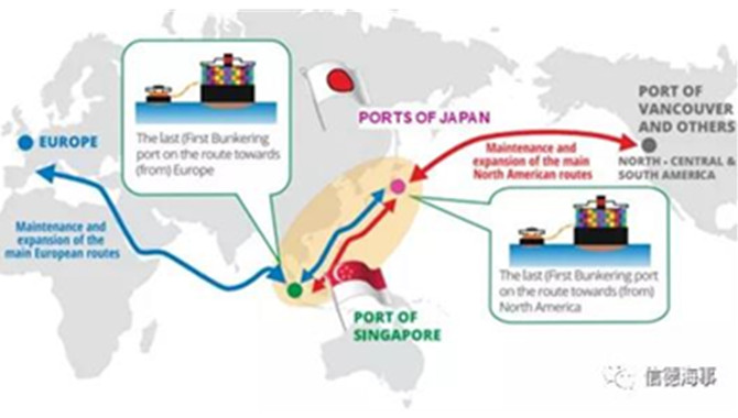 新加坡会成为氨燃料国际中心吗？信德海