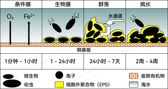 锚地24小时，我省了百万油费