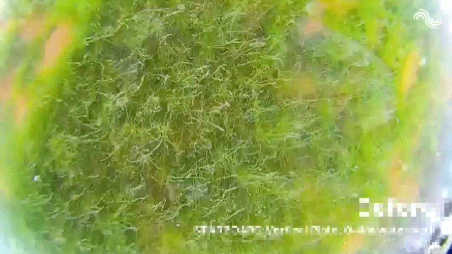 锚地24小时，我省了百万油费