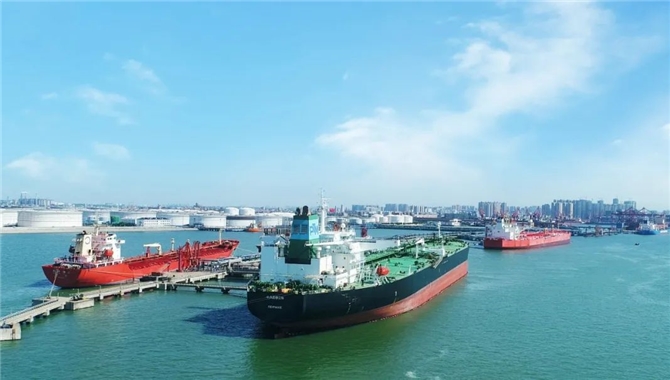 湛江港集团：践行“双碳”战略，建设绿