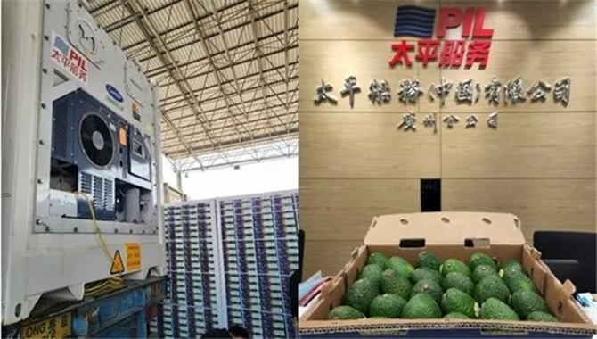 新鲜直达——太平船务顺利交付首批全新