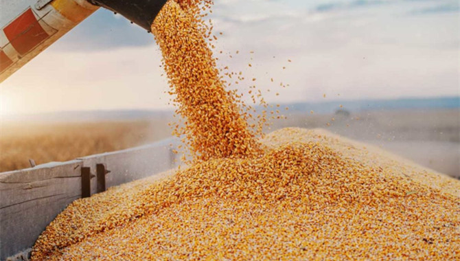 First-ever shipment of Brazilian corn to China unde