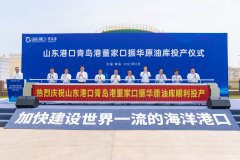 山东港口青岛港董家口振华原油库建成投