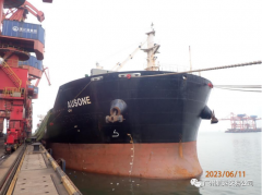 散货船​“AUSONE”轮本月26日竞价转让