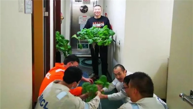 这艘远洋船实现了蔬菜自由