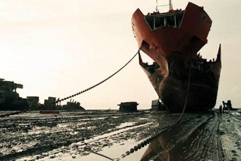 16000 vessels！ Ship Recycling Could Double Over t