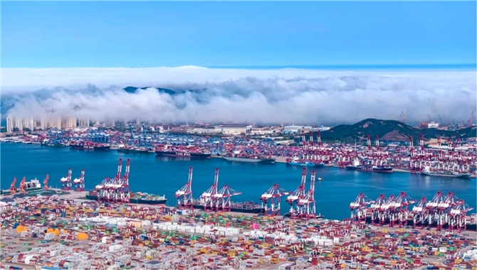 从粮食、矿石到冷链危险品，青岛大宗散货通关加速迈入“智慧