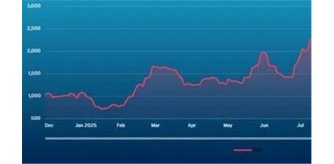 波交所每周运费市场报告（2025年