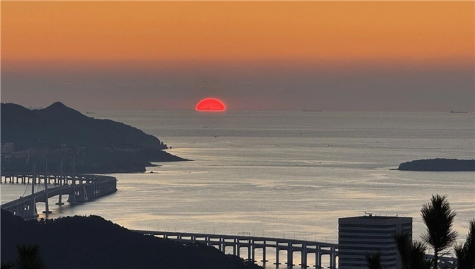 2026年油、集、散、LNG航运市场怎