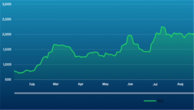 波交所每周运费市场报告（2026年