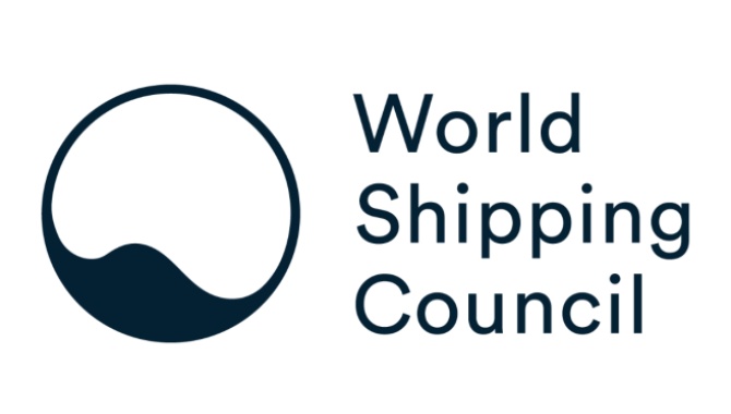 Dual-fuel container ship and vehicle carrier fleet 