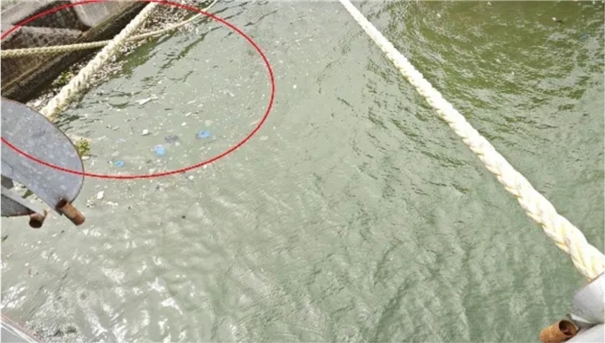 【港口经验】西非阿比让港，准备好烟酒