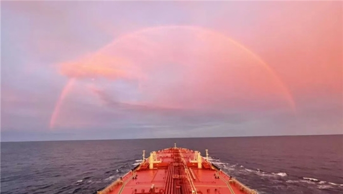 船价大涨！运价大涨！交易量大涨