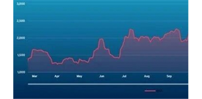 波交所每周运费市场报告（2026年