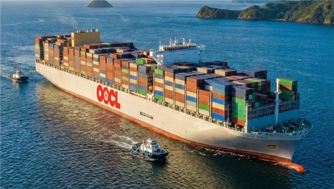 利润15.13亿美元，货量再破纪录！