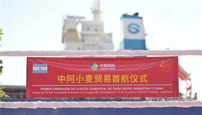 阿根廷小麦首次商业航运入华！山东海运