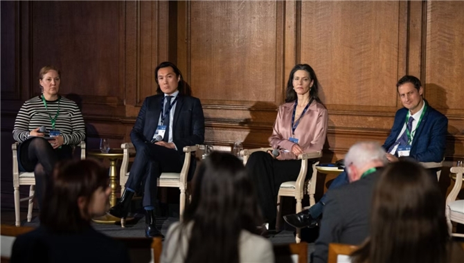 替代燃料船舶订单陷入低迷期